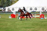 2025 - Shea - Fall Finale - Sunday September 14th - 07817