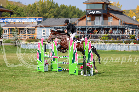 2025 - Shea - Fall Finale - Sunday September 14th - 07819