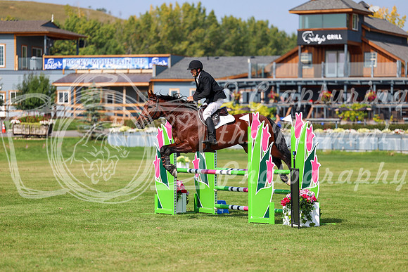 2025 - Shea - Fall Finale - Sunday September 14th - 07823