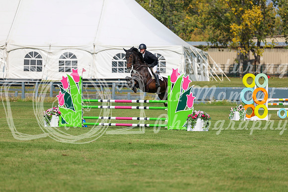 2025 - Shea - Fall Finale - Sunday September 14th - 08400