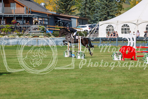 2025 - Shea - Fall Finale - Sunday September 14th - 08397