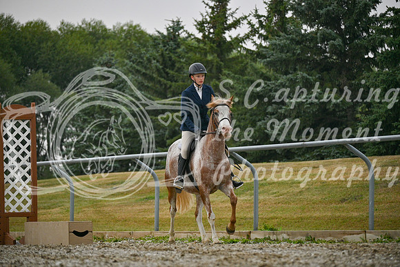 2025 - Petra - Harvest Horse Show - Sunday, September 14th 09708