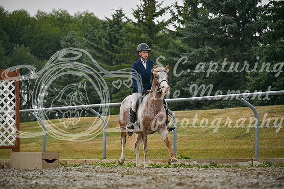 2025 - Petra - Harvest Horse Show - Sunday, September 14th 09709