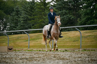 2025 - Petra - Harvest Horse Show - Sunday, September 14th 09712