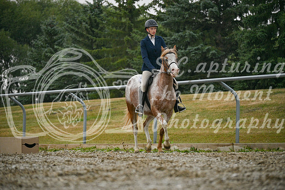 2025 - Petra - Harvest Horse Show - Sunday, September 14th 09712