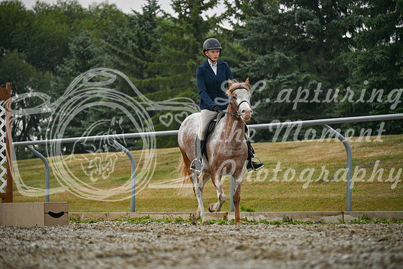 2025 - Petra - Harvest Horse Show - Sunday, September 14th 09711