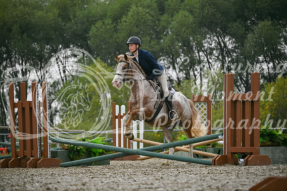 2025 - Petra - Harvest Horse Show - Sunday, September 14th 09713