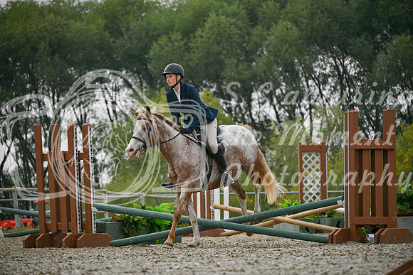 2025 - Petra - Harvest Horse Show - Sunday, September 14th 09715