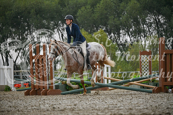 2025 - Petra - Harvest Horse Show - Sunday, September 14th 09717