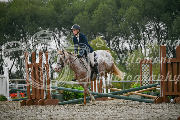 2025 - Petra - Harvest Horse Show - Sunday, September 14th 09716