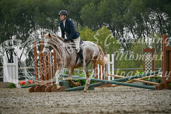 2025 - Petra - Harvest Horse Show - Sunday, September 14th 09718