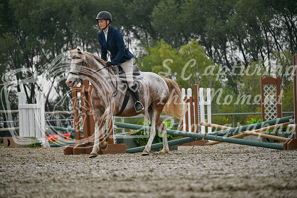 2025 - Petra - Harvest Horse Show - Sunday, September 14th 09719