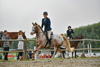2025 - Petra - Harvest Horse Show - Sunday, September 14th 09721