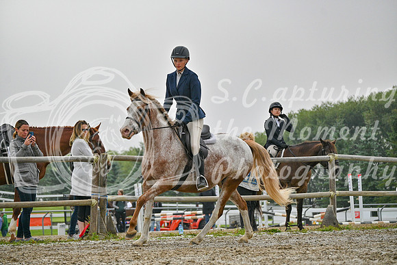 2025 - Petra - Harvest Horse Show - Sunday, September 14th 09721