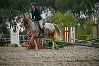 2025 - Petra - Harvest Horse Show - Sunday, September 14th 09720