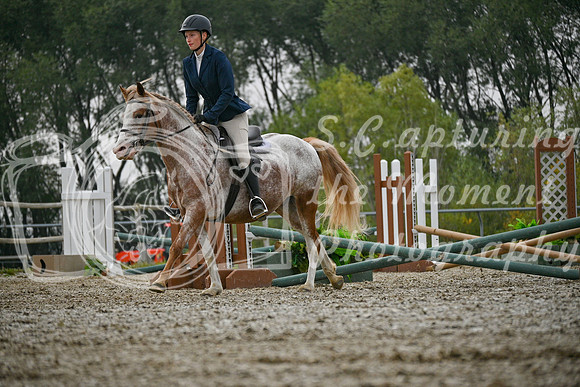2025 - Petra - Harvest Horse Show - Sunday, September 14th 09720