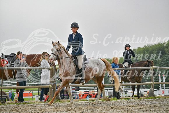 2025 - Petra - Harvest Horse Show - Sunday, September 14th 09722