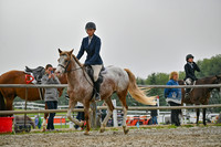 2025 - Petra - Harvest Horse Show - Sunday, September 14th 09724
