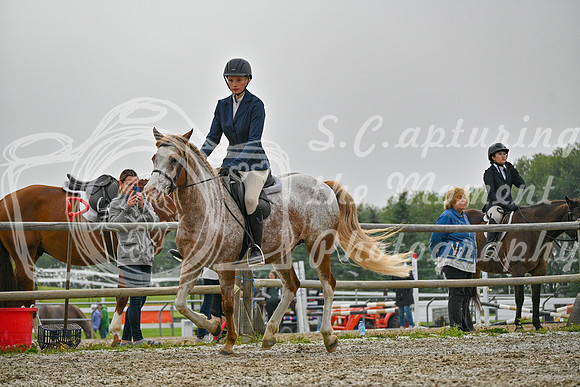 2025 - Petra - Harvest Horse Show - Sunday, September 14th 09724