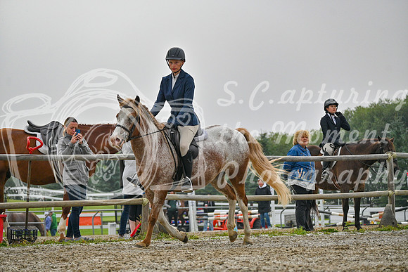 2025 - Petra - Harvest Horse Show - Sunday, September 14th 09723