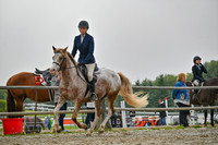 2025 - Petra - Harvest Horse Show - Sunday, September 14th 09725