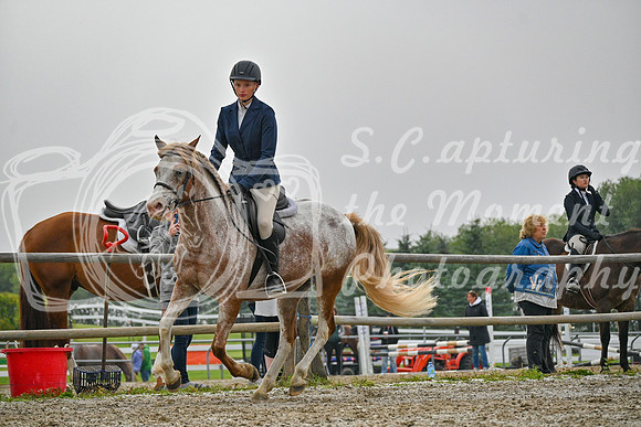 2025 - Petra - Harvest Horse Show - Sunday, September 14th 09725