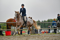 2025 - Petra - Harvest Horse Show - Sunday, September 14th 09726