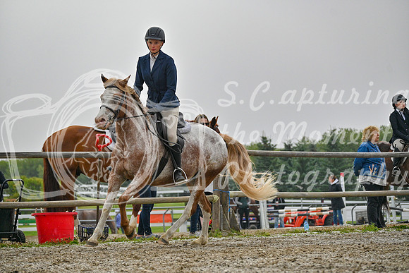2025 - Petra - Harvest Horse Show - Sunday, September 14th 09726