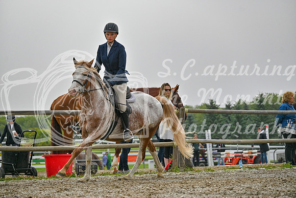 2025 - Petra - Harvest Horse Show - Sunday, September 14th 09727