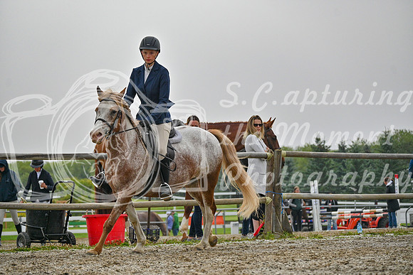 2025 - Petra - Harvest Horse Show - Sunday, September 14th 09728