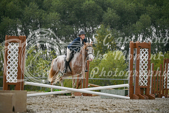 2025 - Petra - Harvest Horse Show - Sunday, September 14th 09731