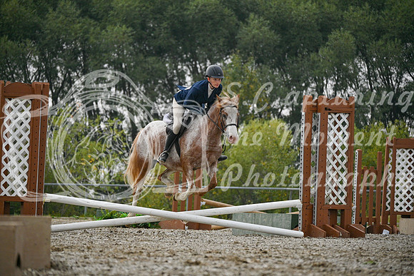 2025 - Petra - Harvest Horse Show - Sunday, September 14th 09732