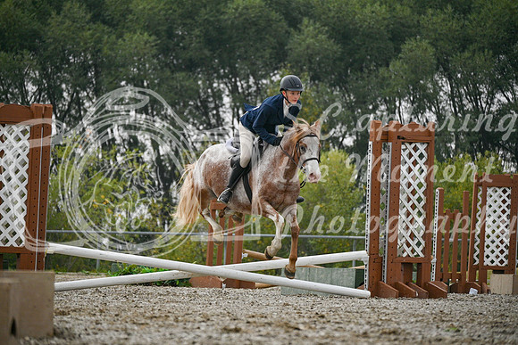 2025 - Petra - Harvest Horse Show - Sunday, September 14th 09733