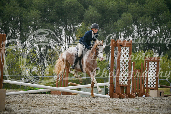 2025 - Petra - Harvest Horse Show - Sunday, September 14th 09734