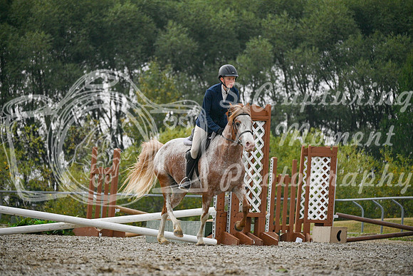 2025 - Petra - Harvest Horse Show - Sunday, September 14th 09736