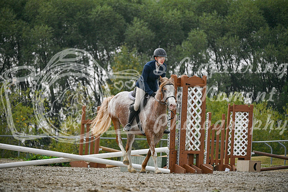 2025 - Petra - Harvest Horse Show - Sunday, September 14th 09735