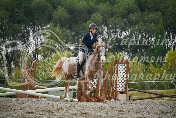 2025 - Petra - Harvest Horse Show - Sunday, September 14th 09737