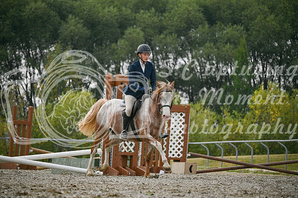2025 - Petra - Harvest Horse Show - Sunday, September 14th 09738