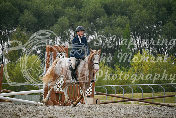 2025 - Petra - Harvest Horse Show - Sunday, September 14th 09739
