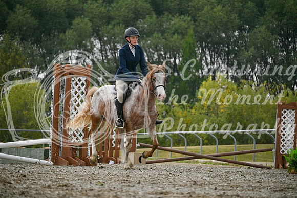 2025 - Petra - Harvest Horse Show - Sunday, September 14th 09740