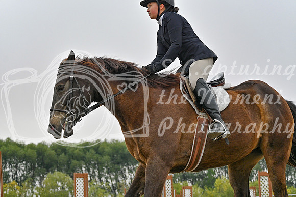 2025 - Petra - Harvest Horse Show - Sunday, September 14th 09813