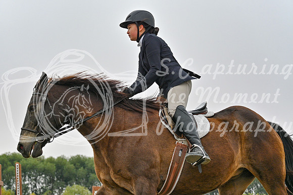 2025 - Petra - Harvest Horse Show - Sunday, September 14th 09814