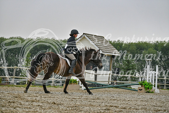 2025 - Petra - Harvest Horse Show - Sunday, September 14th 09815