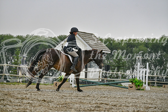 2025 - Petra - Harvest Horse Show - Sunday, September 14th 09816