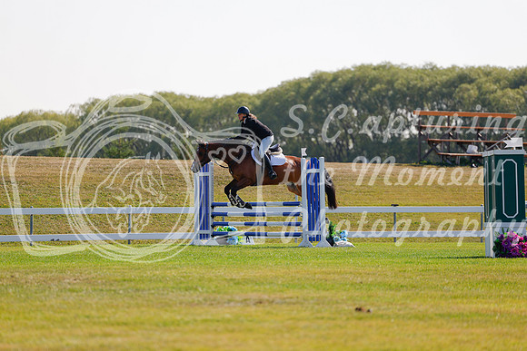 2025 - Haylee - Harvest Horse Show - Sunday, September 14th 07081