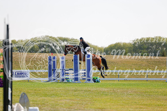 2025 - Haylee - Harvest Horse Show - Sunday, September 14th 07087