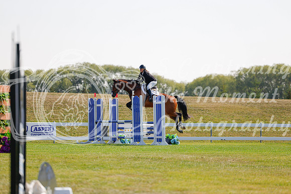 2025 - Haylee - Harvest Horse Show - Sunday, September 14th 07088
