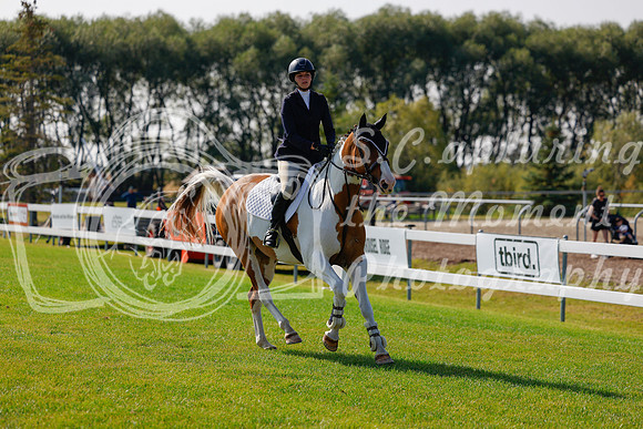 2025 - Haylee - Harvest Horse Show - Sunday, September 14th 07152