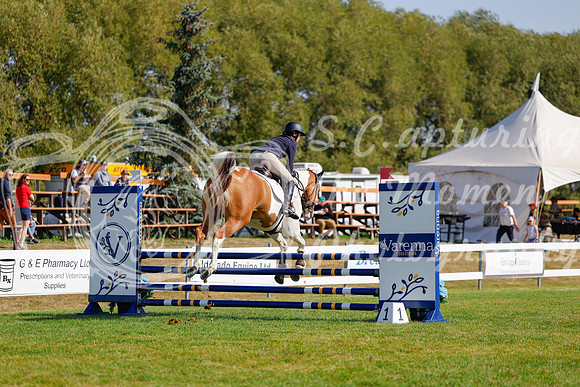 2025 - Haylee - Harvest Horse Show - Sunday, September 14th 07159