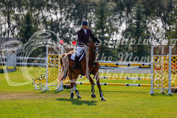 2025 - Haylee - Harvest Horse Show - Sunday, September 14th 07757
